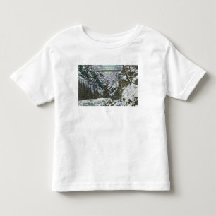 T-shirts Opinião de ponte de suspensão do desfiladeiro do