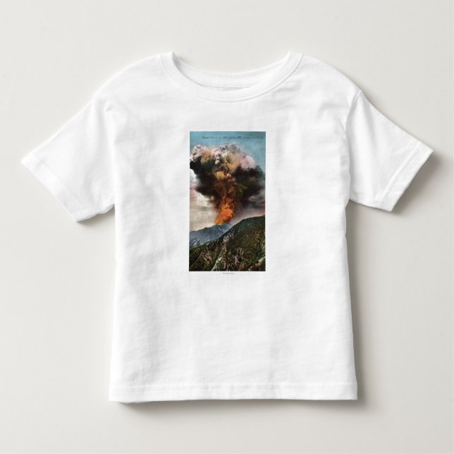 T-shirts Opinião do incêndio florestal nas montanhas (Frente)