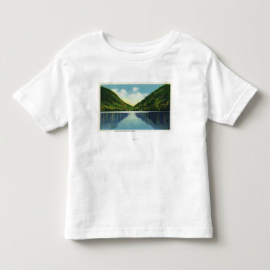 T-shirts Opinião do parque estadual do entalhe de Franconi