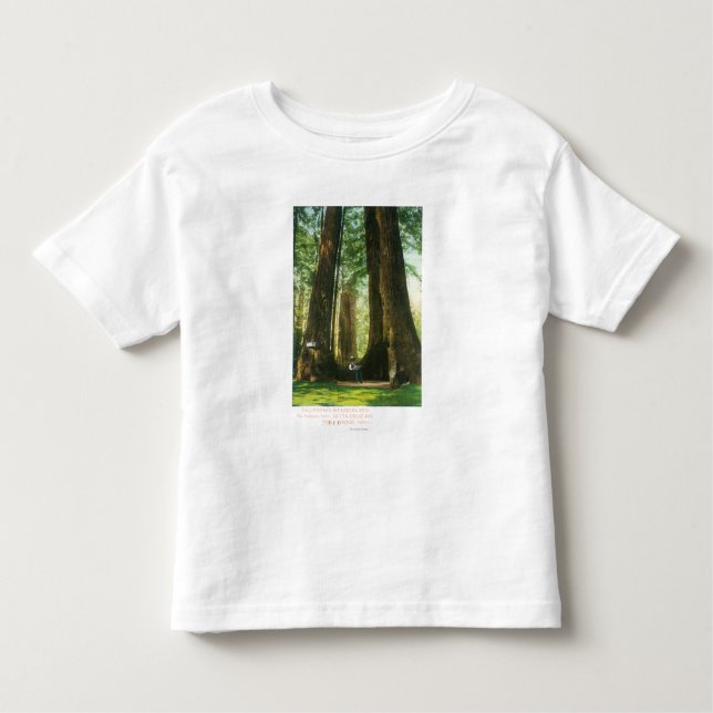 T-shirts Opinião gêmeos da sequóia vermelha no bosque (Frente)
