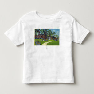 T-shirts Opinião memorável do monumento do parque de Sewa