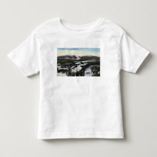 T-shirts Opinião o Saddleback da montagem no inverno