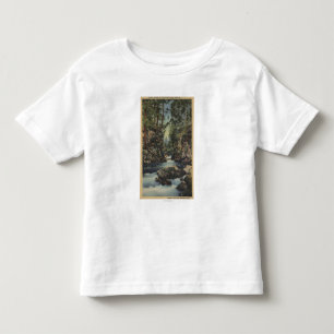 T-shirts Opinião superior do rio desonesto, Oregon -