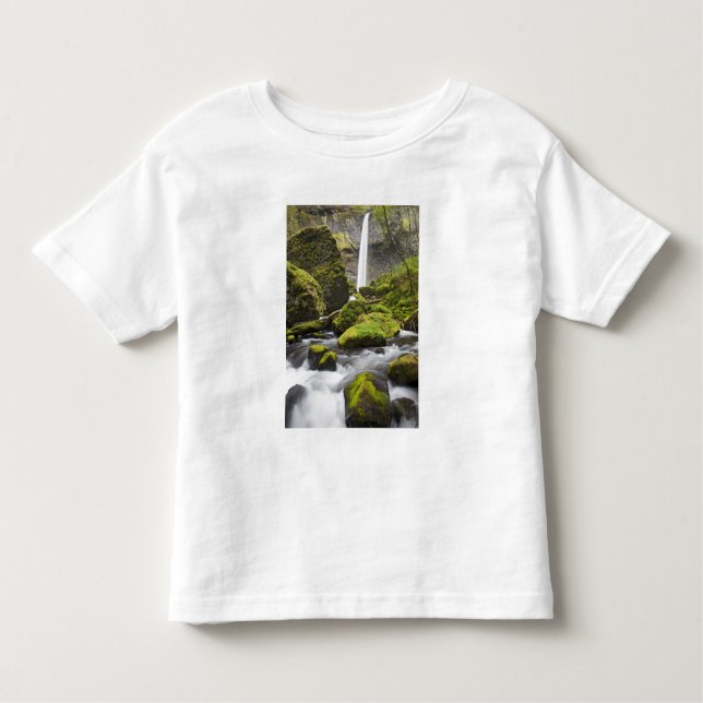 T-shirts OR, Columbia River Gorge, Elowah Falls e (Frente)