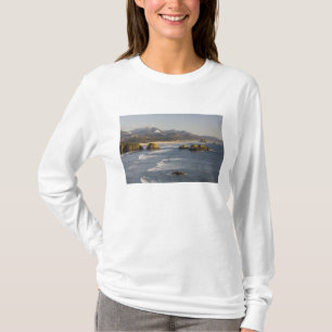 T-shirts OR, Costa do Oregon, Parque Estadual Ecola, vista