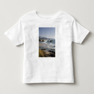 T-shirts OR, Costa do Oregon, Parque Estadual Ecola, vista 