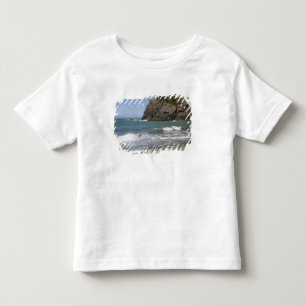 T-shirts OR, Costa do Oregon, Praia de Whaleshead, Sul