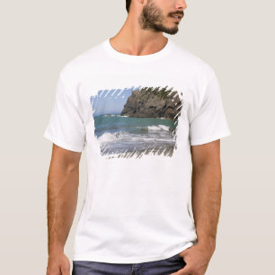 T-shirts OR, Costa do Oregon, Praia de Whaleshead, Sul