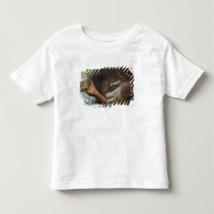 T-shirts Orangotango de Sumatra, Pongo pygmaeus