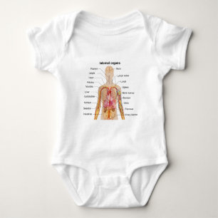 T-shirts Órgãos internos principais na carta do corpo