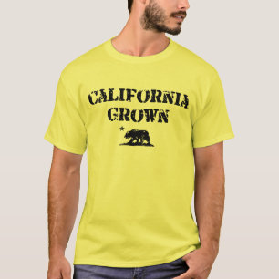 T-shirts Orgulho do Estado Dourado da Bandeira do Urso Cult