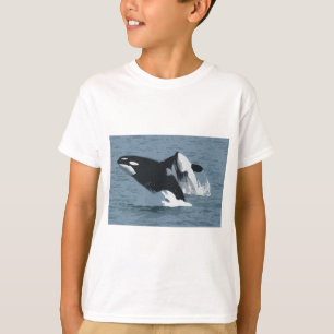 T-shirts Orka Whale