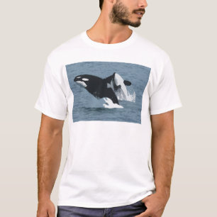 T-shirts Orka Whale