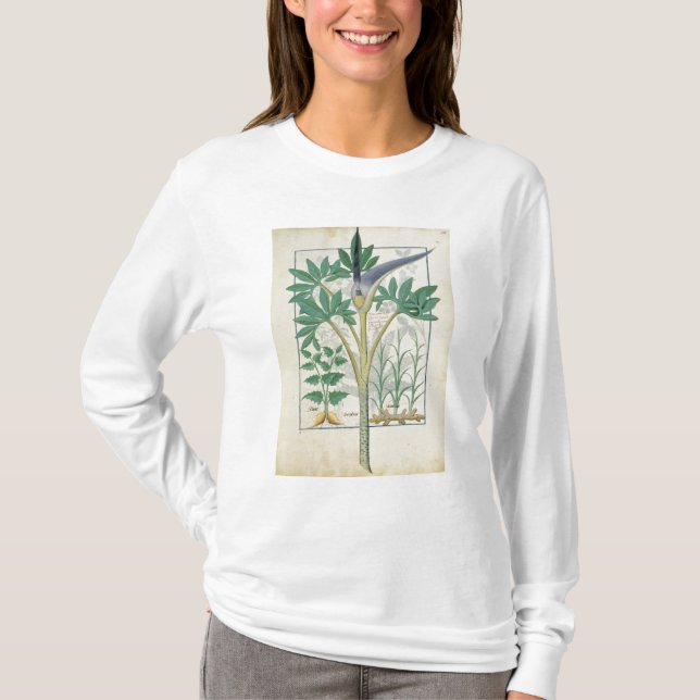 T-shirts Orquídea (Frente)
