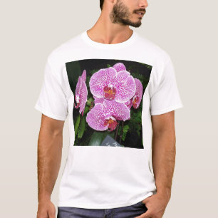 T-shirts Orquídea branca e roxa