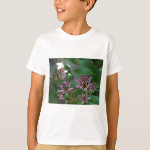 T-shirts Orquídea branca-rosa-púrpura, listrada, como uma f