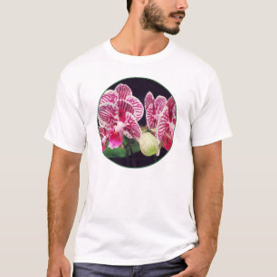 T-shirts Orquídea Phalaenopsis Taida Little Zebra