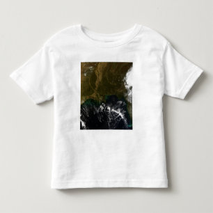 T-shirts Os Estados Unidos do sudeste