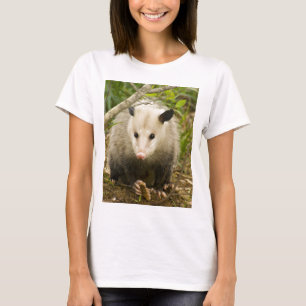 T-shirts Os gambás são bonito - gambá Didelphimorphia