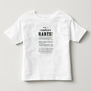 T-shirts Os seis pontos da carta patente do pessoa
