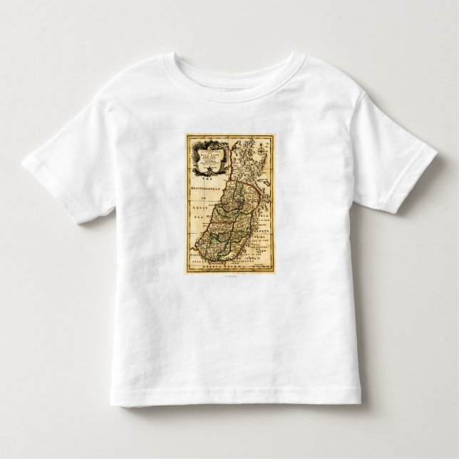 T-shirts Os tribos de Israel no mapa de PalestinePanoramic (Frente)