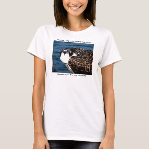 T-shirts Osprey, ilha de Tilghman, porto do Dogwood,