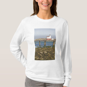 T-shirts OU, Costa do Oregon, Bandon, Rio Coquille 2