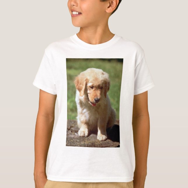 T-shirts Ouro Retriever (Frente)