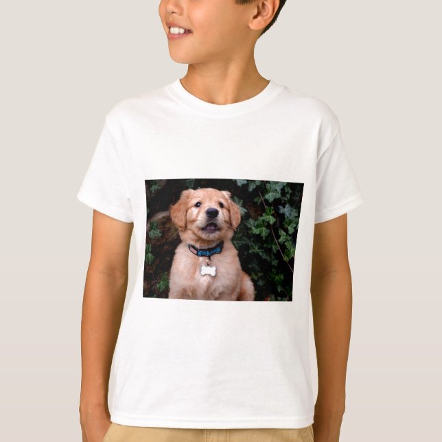 T-shirts Ouro Retriever Puppy (Frente)