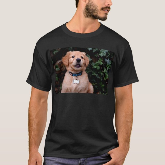 T-shirts Ouro Retriever Puppy (Frente)