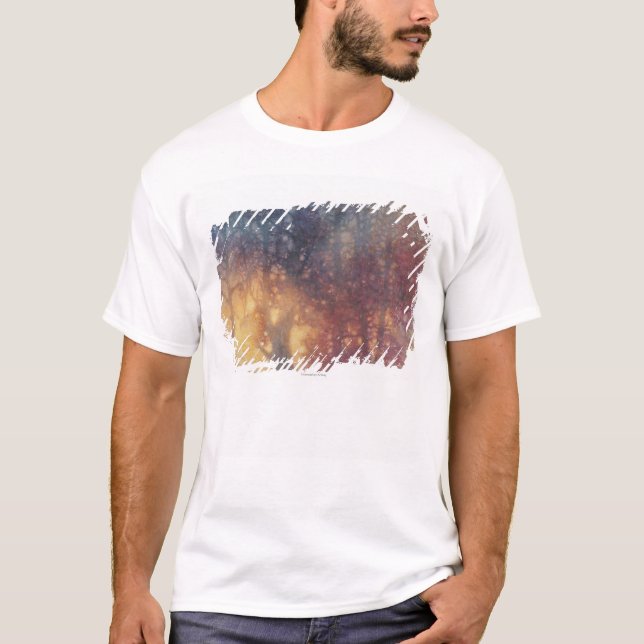 T-shirts Outono colorido (Frente)