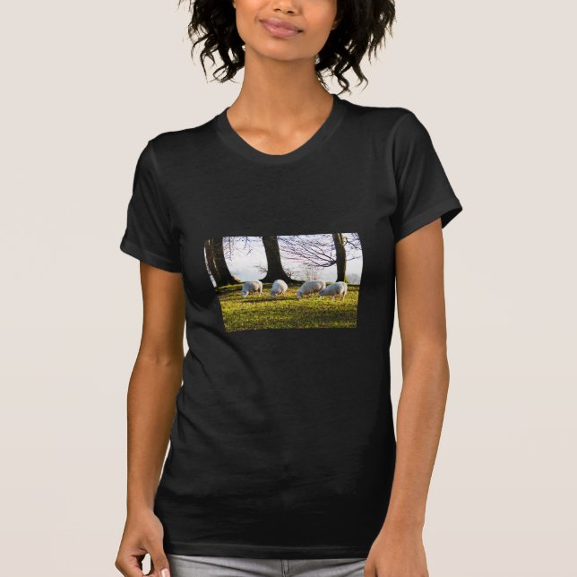 T-shirts Ovelha ao sol de inverno (Frente)