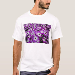 T-shirts Padrão de flores, Jardins Kuekenhof, Lisse,