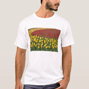 T-shirts Padrão de jardim de tulipas, Jardins Keukenhof, 2