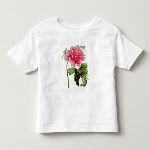 T-shirts Paeonia Moutan, c.1799