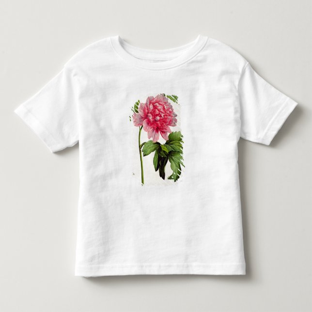 T-shirts Paeonia Moutan, c.1799 (Frente)
