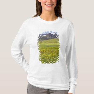 T-shirts Paisagem cênica do vale de Svarfadardalur