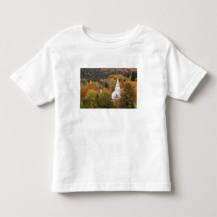 T-shirts Paisagem de outono com igreja, Vermont, EUA