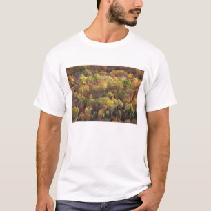 T-shirts Paisagem de outono, Vermont, EUA 2