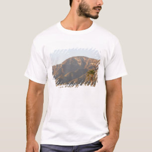 T-shirts Paisagem de rancho desértico perto de Monterey, Mé