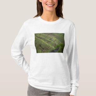 T-shirts Paisagem de terraços de arroz na montanha,
