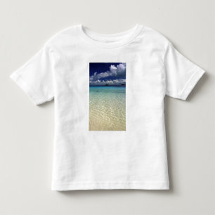 T-shirts Paisagem insular, Ilha Vava'u, Tonga