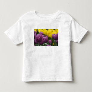 T-shirts Países Baixos (também conhecido como Holanda), Lis