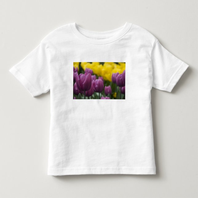 T-shirts Países Baixos (também conhecido como Holanda), Lis (Frente)