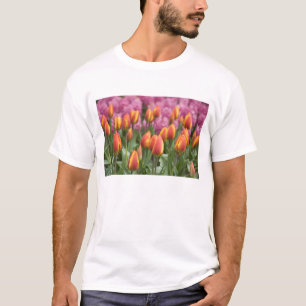 T-shirts Países Baixos (também conhecido como Holanda), Lis