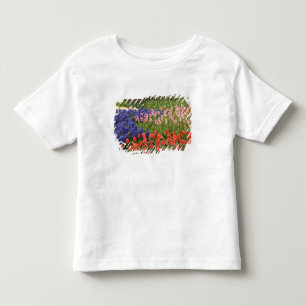 T-shirts Países Baixos (também conhecido como Holanda), Lis