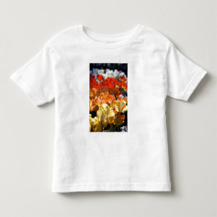 T-shirts Países Baixos (também conhecido como Holanda), Lis