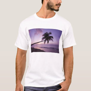 T-shirts Palmeira solitária ao pôr do sol, praia de Coconut