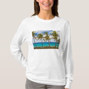 T-shirts Palmeiras de coco (Cocos nucifera) balançando ao