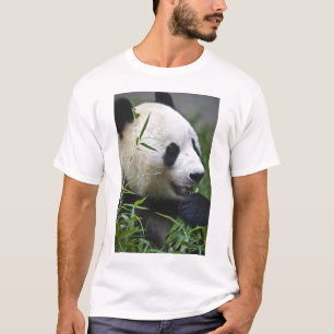 T-shirts Panda gigante